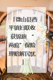 微山县西平镇妇联收获锦旗 “两癌”保险理赔解民忧