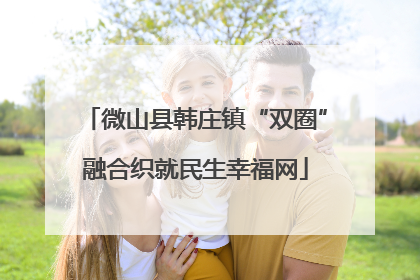 微山县韩庄镇“双圈”融合织就民生幸福网