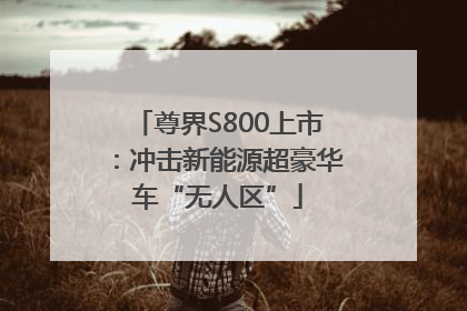 尊界S800上市：冲击新能源超豪华车“无人区”