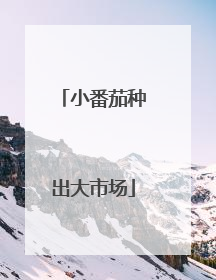 小番茄种出大市场