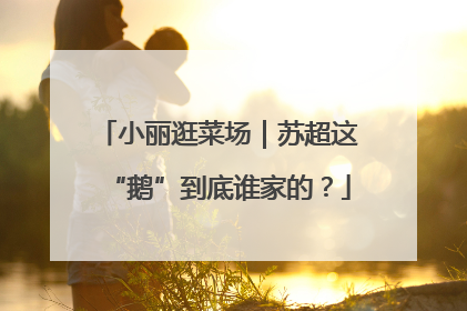 小丽逛菜场｜苏超这“鹅”到底谁家的？