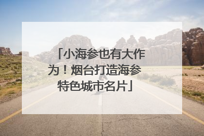 小海参也有大作为！烟台打造海参特色城市名片