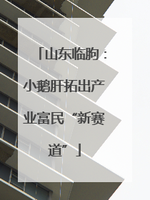 山东临朐：小鹅肝拓出产业富民“新赛道”