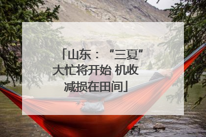 山东：“三夏”大忙将开始 机收减损在田间