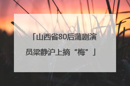 山西省80后蒲剧演员梁静沪上摘“梅”