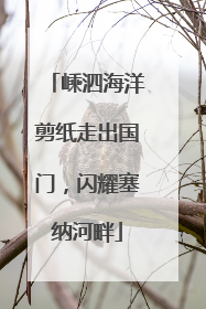 嵊泗海洋剪纸走出国门，闪耀塞纳河畔