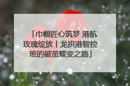 巾帼匠心筑梦 港航玫瑰绽放丨龙拱港智控班的破茧蝶变之路