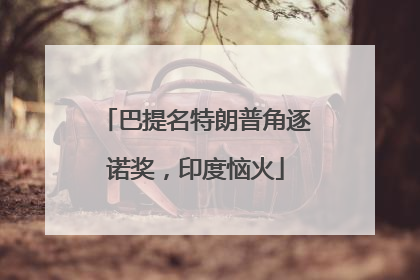 巴提名特朗普角逐诺奖，印度恼火