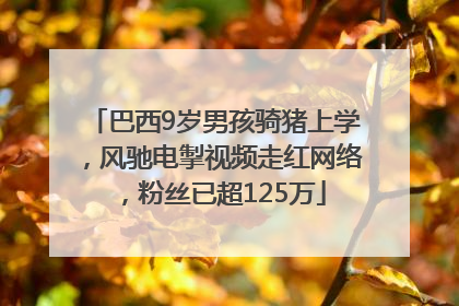 巴西9岁男孩骑猪上学，风驰电掣视频走红网络，粉丝已超125万