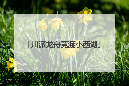 川派龙舟竞渡小西湖