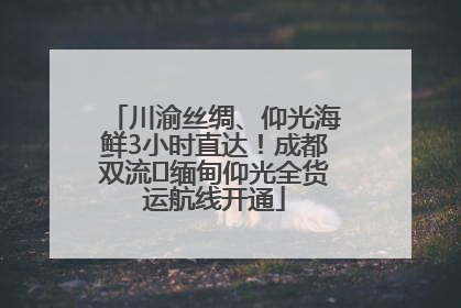 川渝丝绸、仰光海鲜3小时直达！成都双流⇌缅甸仰光全货运航线开通