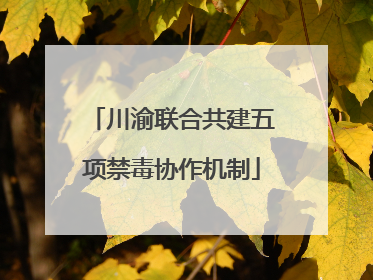 川渝联合共建五项禁毒协作机制