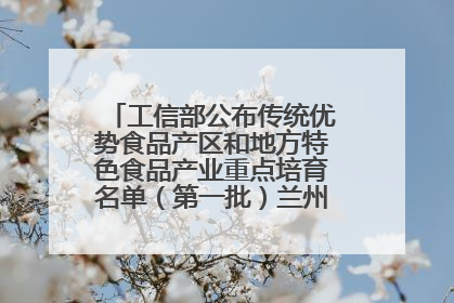 工信部公布传统优势食品产区和地方特色食品产业重点培育名单（第一批）兰州牛肉拉面位列其中