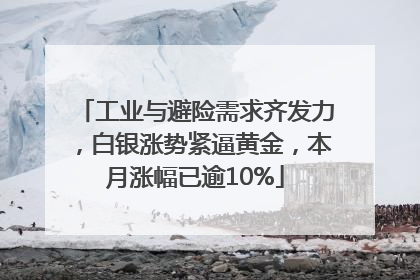 工业与避险需求齐发力，白银涨势紧逼黄金，本月涨幅已逾10%