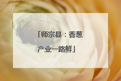 师宗县：香葱产业一路鲜