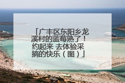 广丰区东阳乡龙溪村的蓝莓熟了！约起来 去体验采摘的快乐（图）