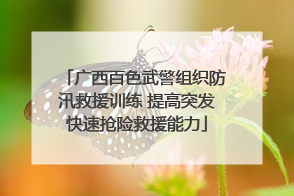 广西百色武警组织防汛救援训练 提高突发快速抢险救援能力
