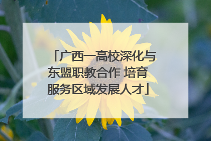 广西一高校深化与东盟职教合作 培育服务区域发展人才