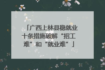 广西上林县稳就业十条措施破解“招工难”和“就业难”