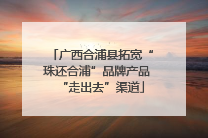 广西合浦县拓宽“珠还合浦”品牌产品“走出去”渠道