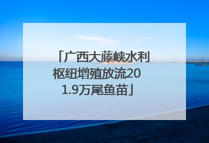广西大藤峡水利枢纽增殖放流201.9万尾鱼苗
