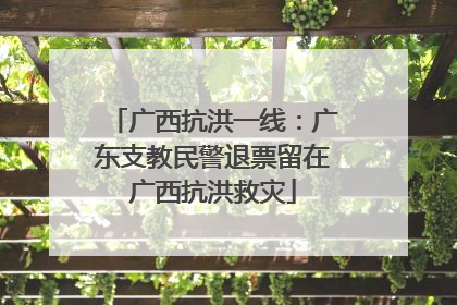 广西抗洪一线：广东支教民警退票留在广西抗洪救灾