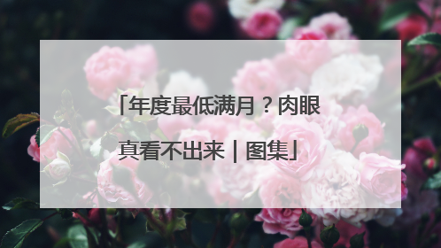 年度最低满月？肉眼真看不出来｜图集