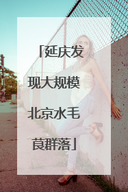 延庆发现大规模北京水毛茛群落