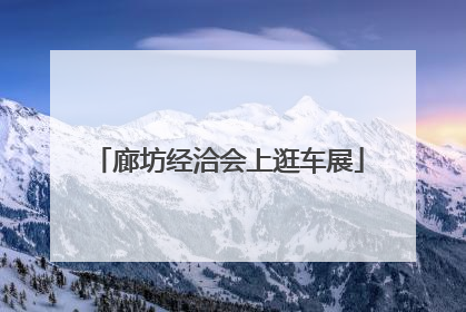 廊坊经洽会上逛车展