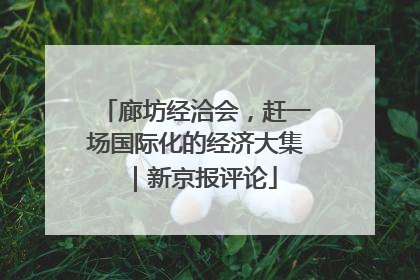 廊坊经洽会，赶一场国际化的经济大集｜新京报评论