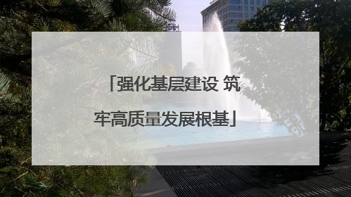 强化基层建设 筑牢高质量发展根基
