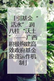 引基金“活水” 润八桂“沃土”——广西积极构建高效政府基金投资运作机制