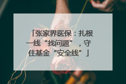 张家界医保：扎根一线“找问题”，守住基金“安全线”