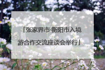 张家界市·衡阳市入境游合作交流座谈会举行