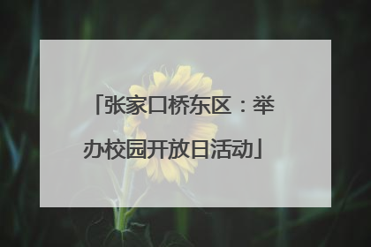 张家口桥东区：举办校园开放日活动