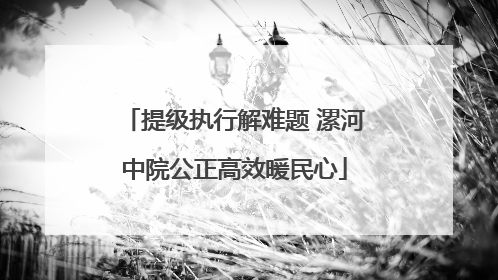 提级执行解难题 漯河中院公正高效暖民心