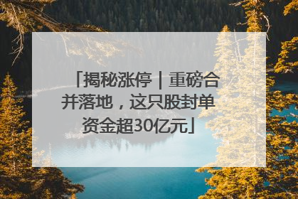 揭秘涨停｜重磅合并落地，这只股封单资金超30亿元