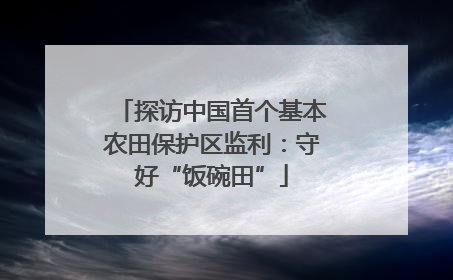 探访中国首个基本农田保护区监利：守好“饭碗田”