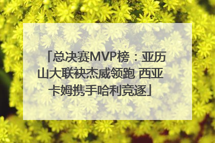 总决赛MVP榜：亚历山大联袂杰威领跑 西亚卡姆携手哈利竞逐