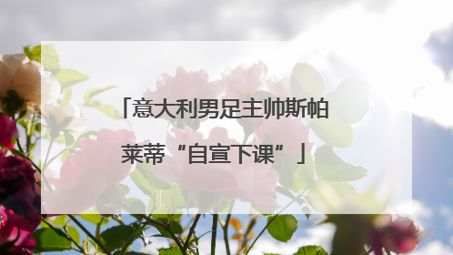 意大利男足主帅斯帕莱蒂“自宣下课”