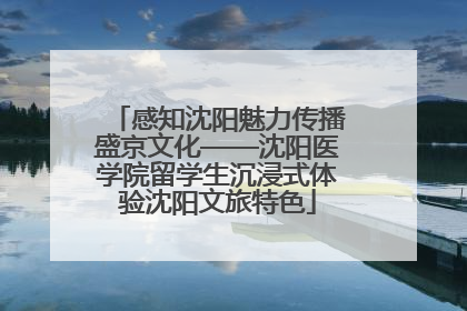 感知沈阳魅力传播盛京文化——沈阳医学院留学生沉浸式体验沈阳文旅特色