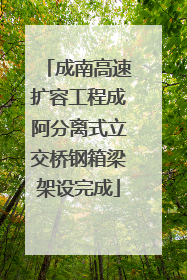 成南高速扩容工程成阿分离式立交桥钢箱梁架设完成