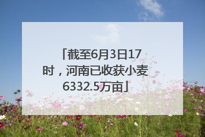 截至6月3日17时，河南已收获小麦6332.5万亩