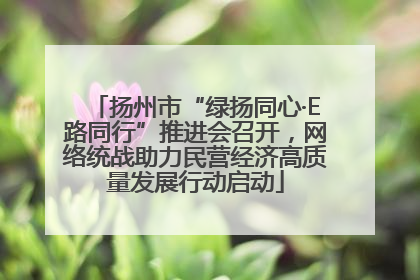 扬州市“绿扬同心·E路同行”推进会召开，网络统战助力民营经济高质量发展行动启动