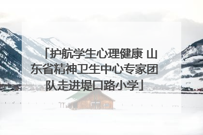 护航学生心理健康 山东省精神卫生中心专家团队走进堤口路小学
