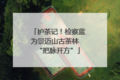 护茶记！检察蓝为景迈山古茶林 “把脉开方”
