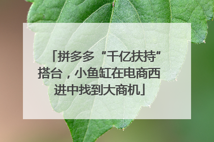 拼多多“千亿扶持”搭台，小鱼缸在电商西进中找到大商机