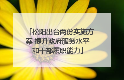 松阳出台两份实施方案 提升政府服务水平和干部履职能力