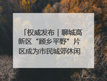 权威发布｜聊城高新区“顾乡平野”片区成为市民城郊休闲全新目的地