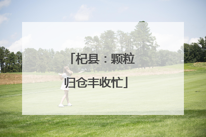 杞县：颗粒归仓丰收忙